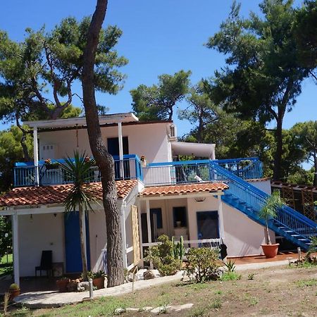 Appartamenti La Villa Пескичи Экстерьер фото